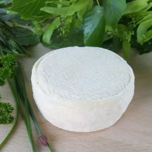 Petit fromage de chèvre crémeux bio
